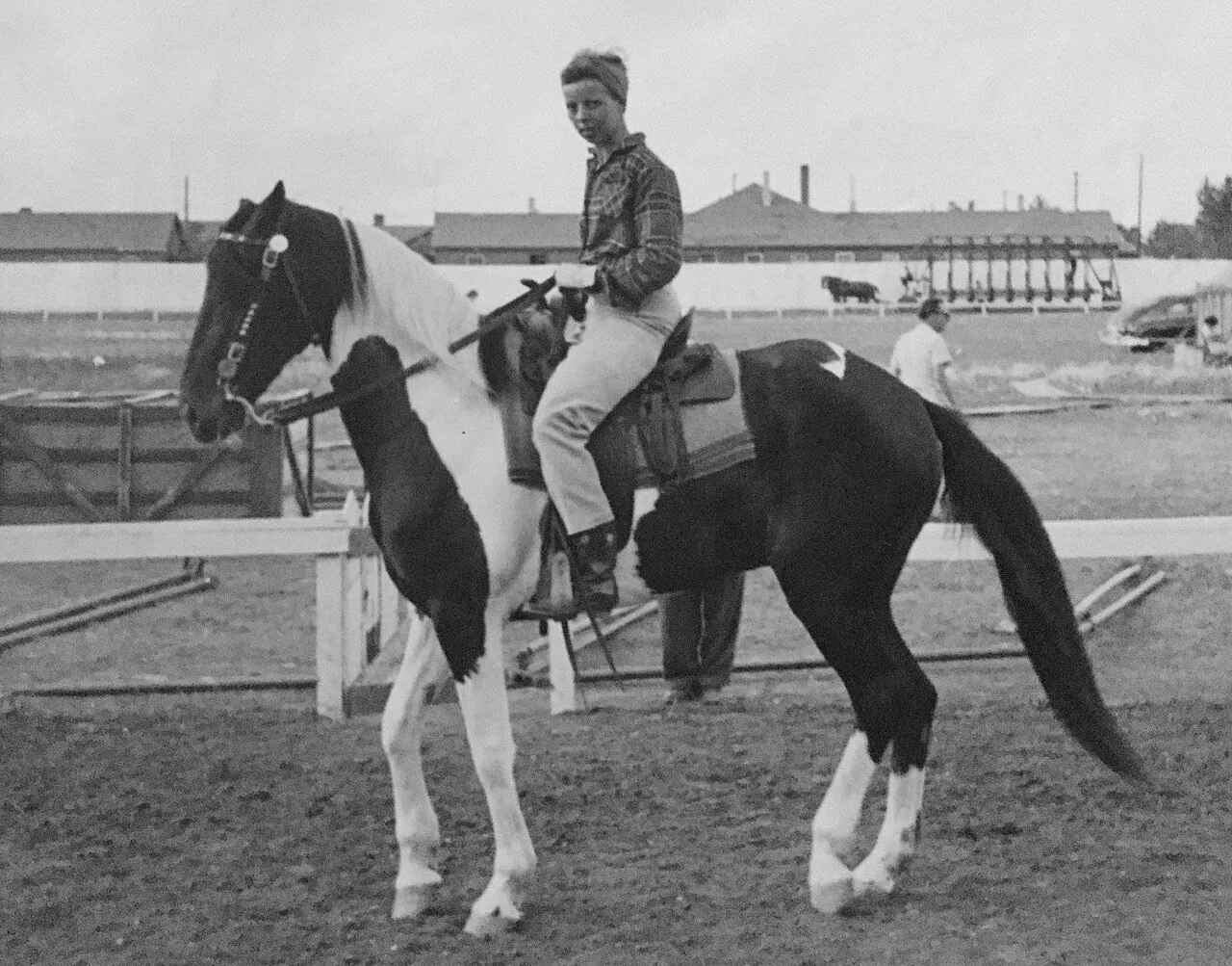 i-horse